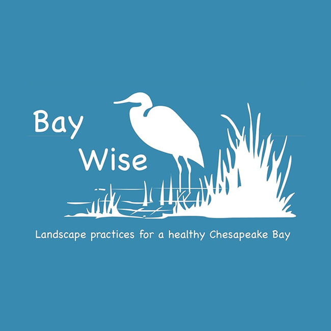 Bay-Wise Certified
