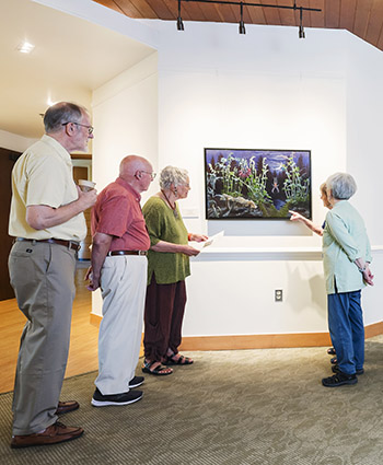 Broadmead residents enjoying art