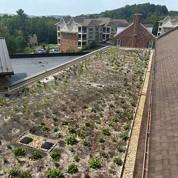 Sustainability at Broadmead